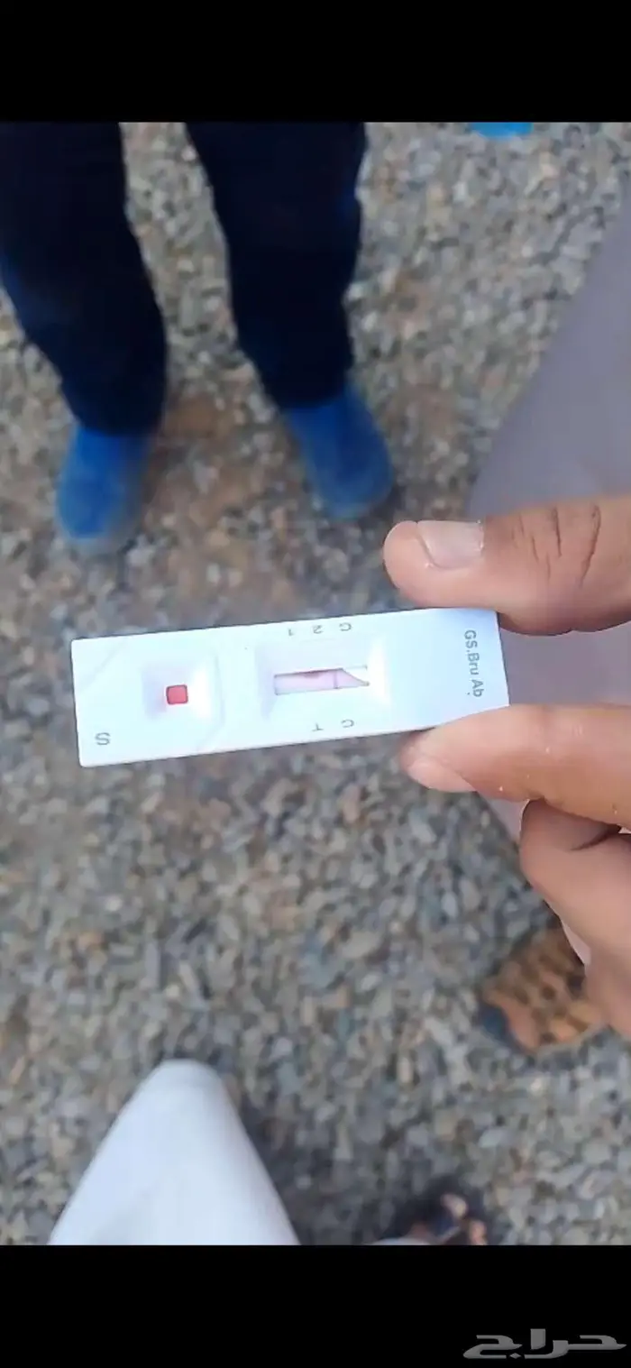 فحل حري صنف الصنف 1