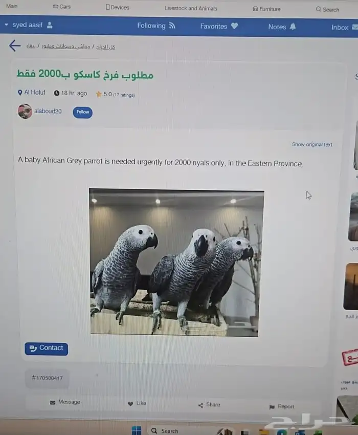 ابحث عن فرخ كاسكو ب2000 فقط 1