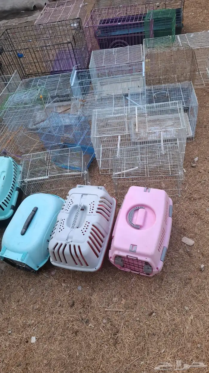 اغراض واجهزه 10