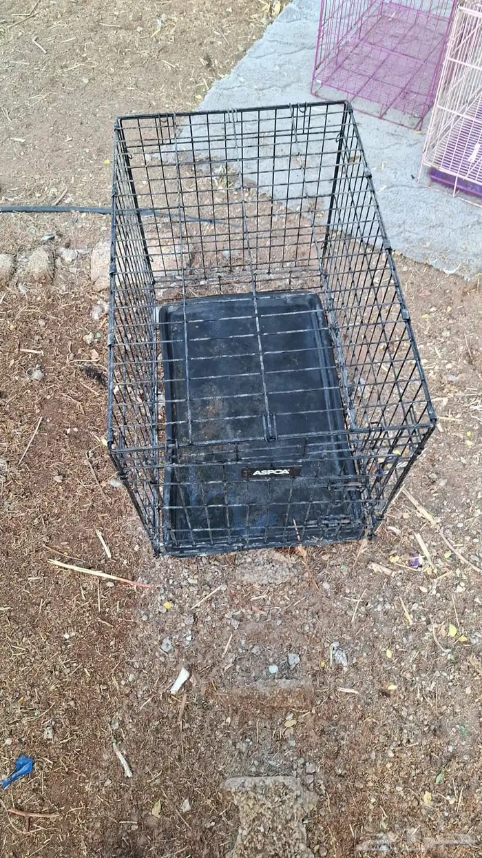 اغراض واجهزه 12