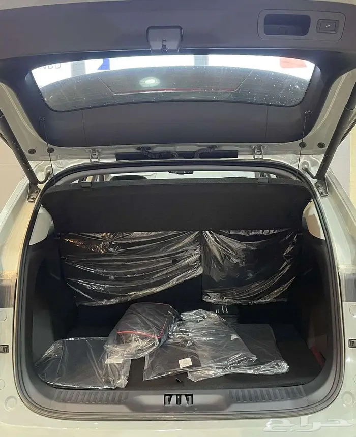 فورد تيريتوري تيتانيوم 2026 6