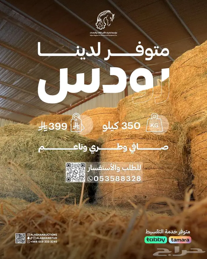 علف رودس للخيل والابقار والدواجن 0