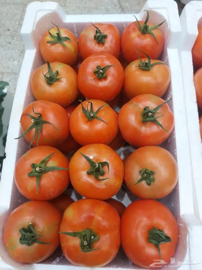 مطلوب عمال زراعه 0