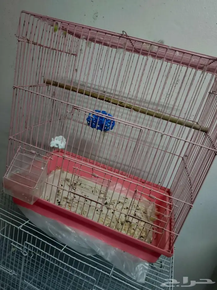 للبيع 9 اقفاص 4