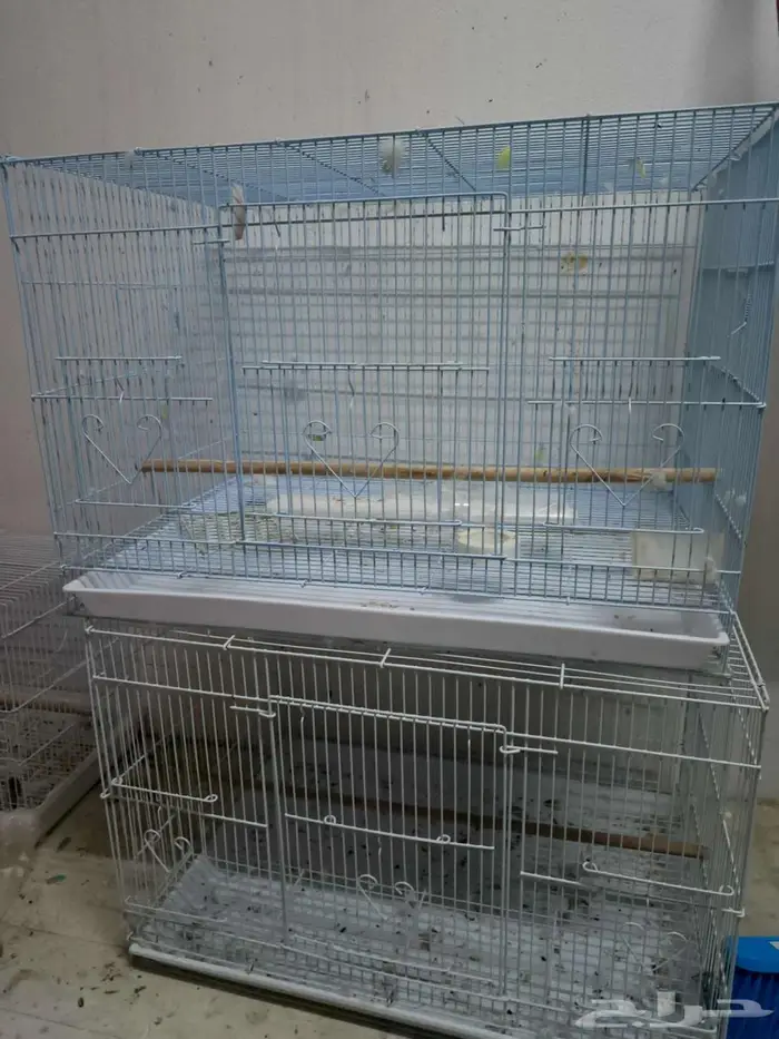 للبيع 9 اقفاص 1