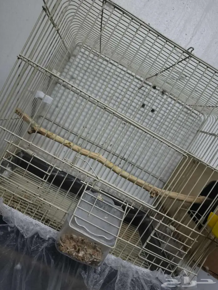 للبيع 9 اقفاص 0