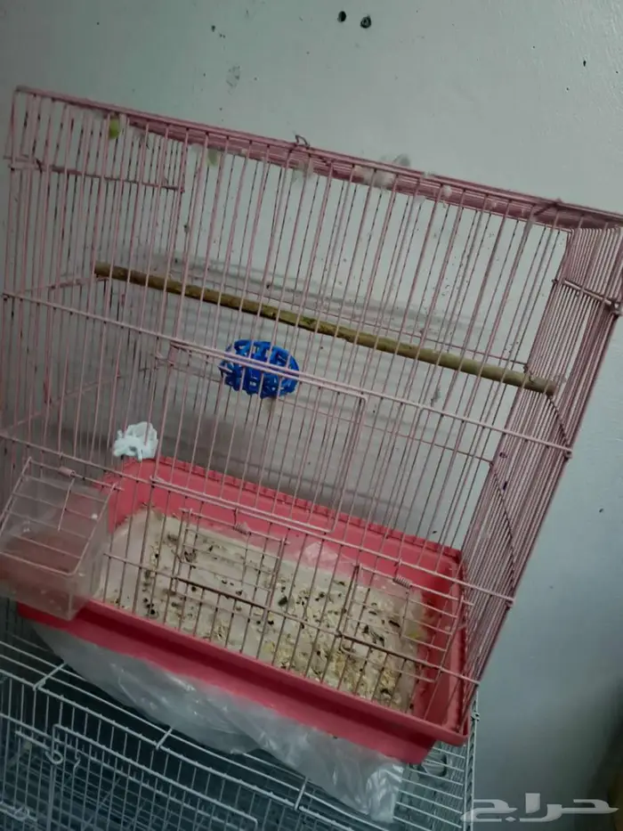 للبيع 9 اقفاص 2
