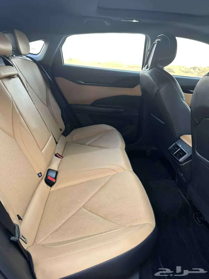 شانجان يوني في 2024 11