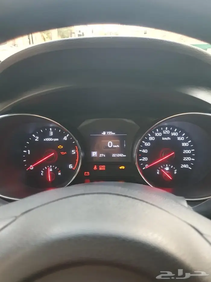 كرينفال 2019 ابيض ديزل 6