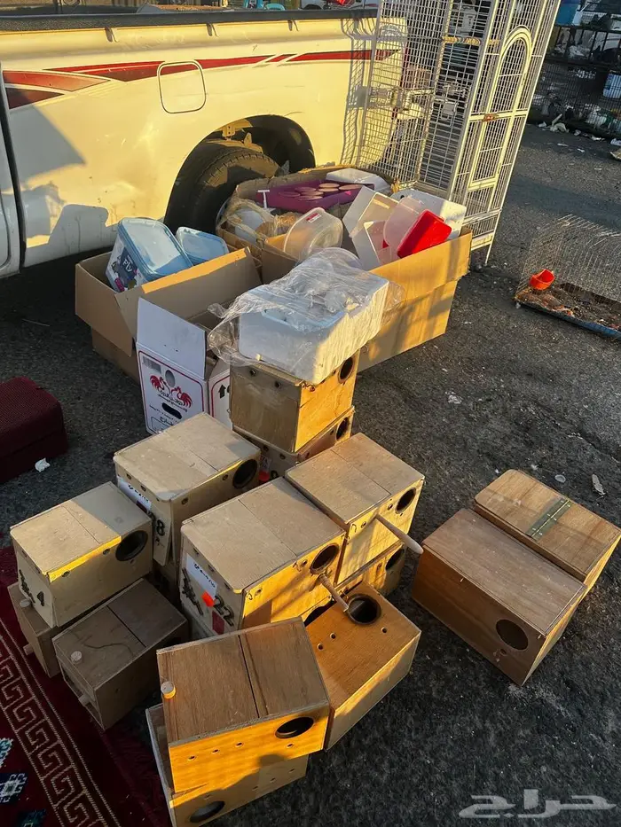 مستلزمات طيور 0