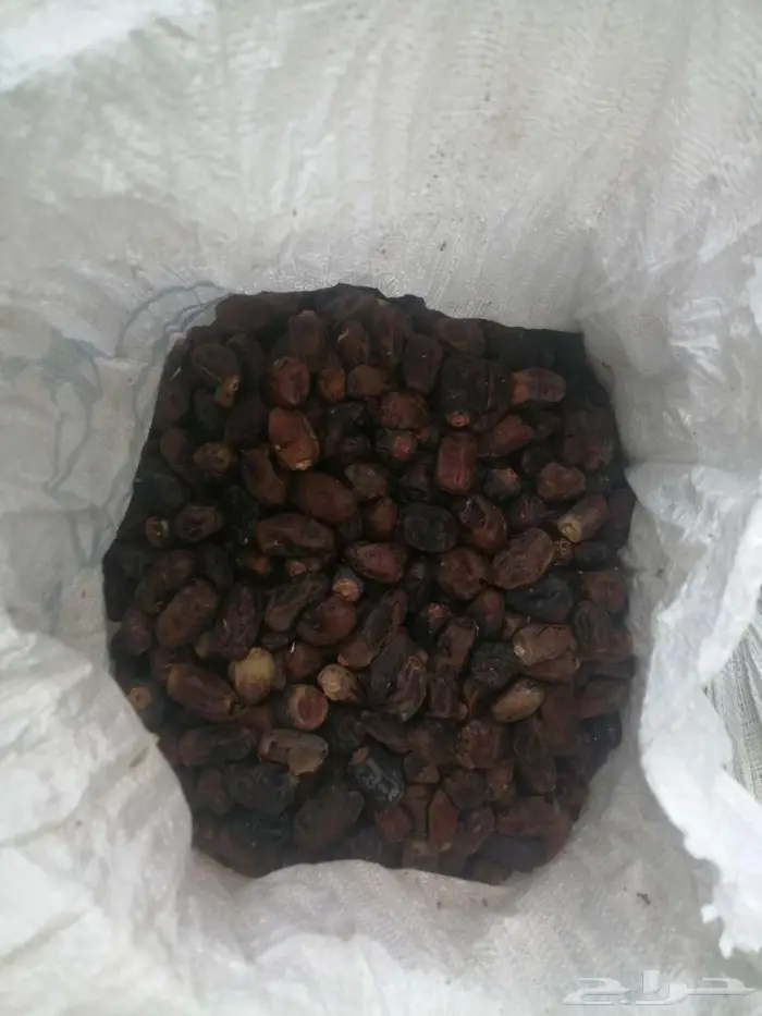 تمر علف للحلال للبيع 0