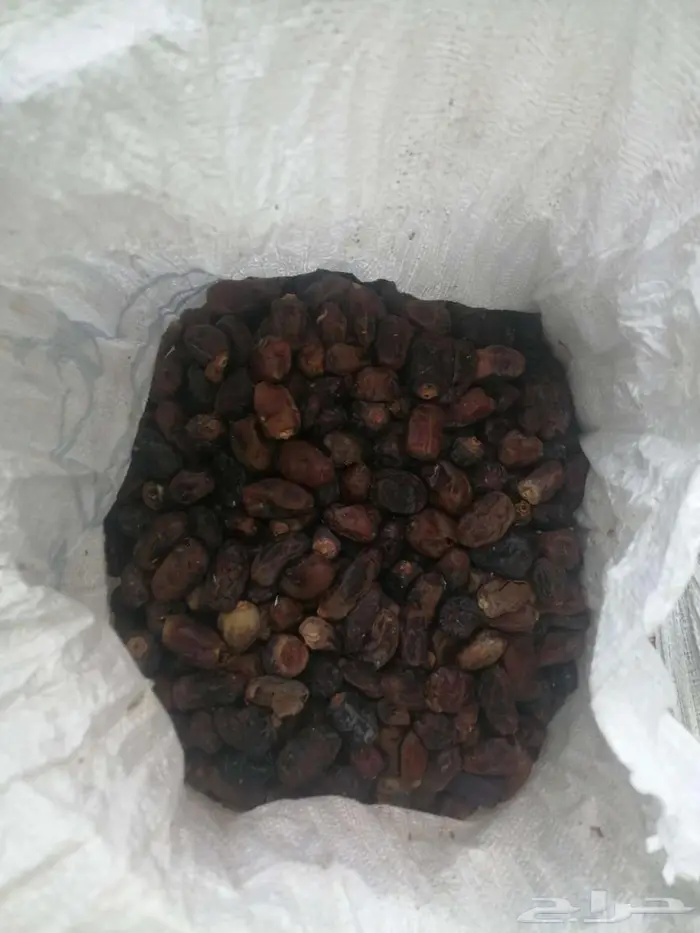 تمر علف للحلال للبيع 4