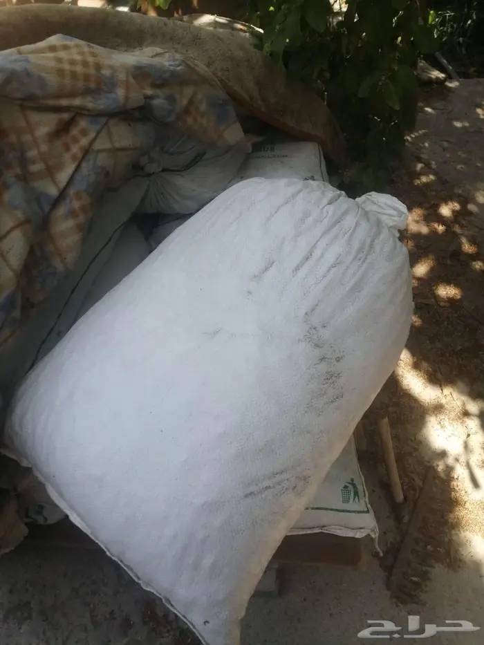 تمر علف للحلال للبيع 5