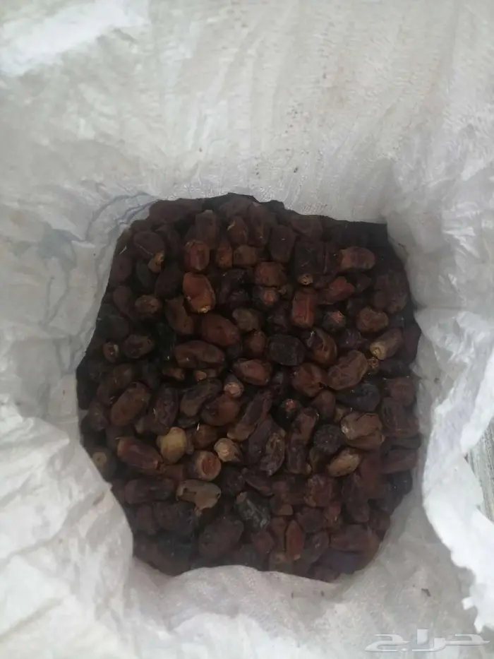 تمر علف للحلال للبيع 7