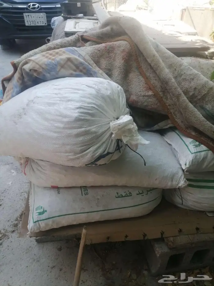 تمر علف للحلال للبيع 8