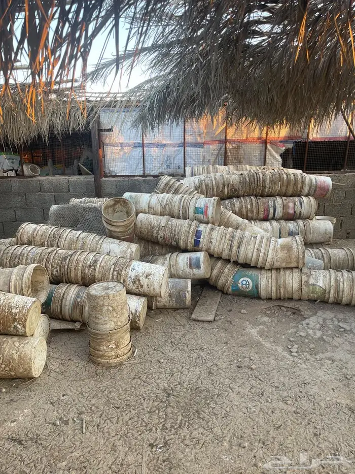 سطول للحمام والدواجن 2