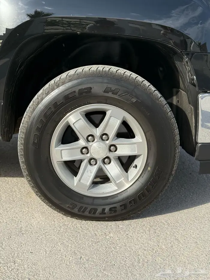 ونيت سيرا 2011 7