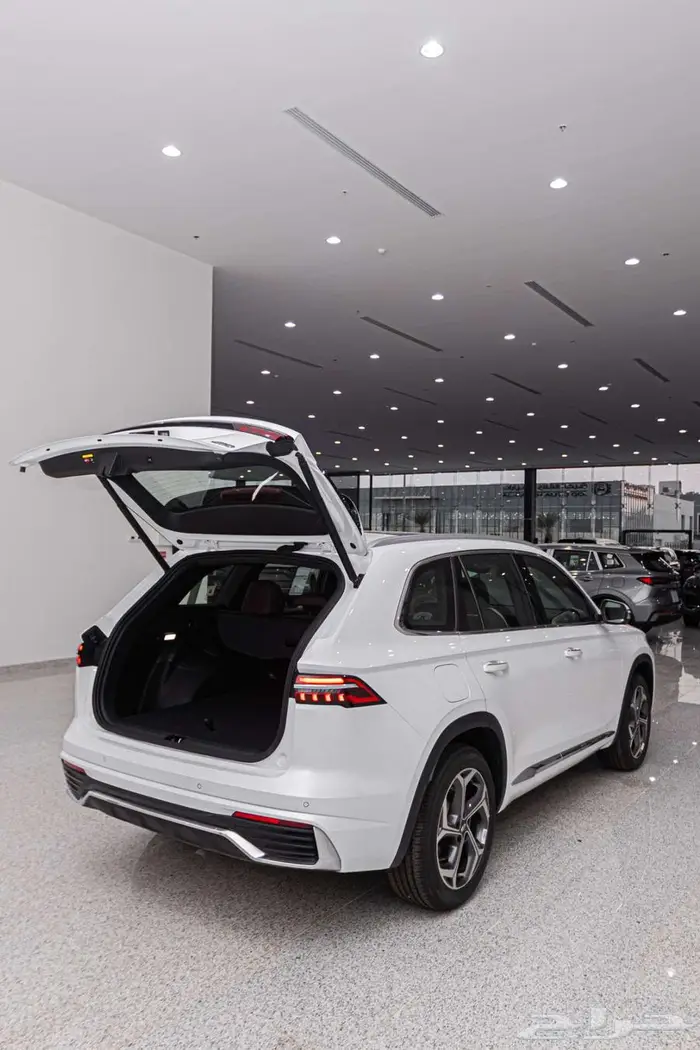 جيلي مونجارو 2024 2.0L تيربو   235 حصان 2