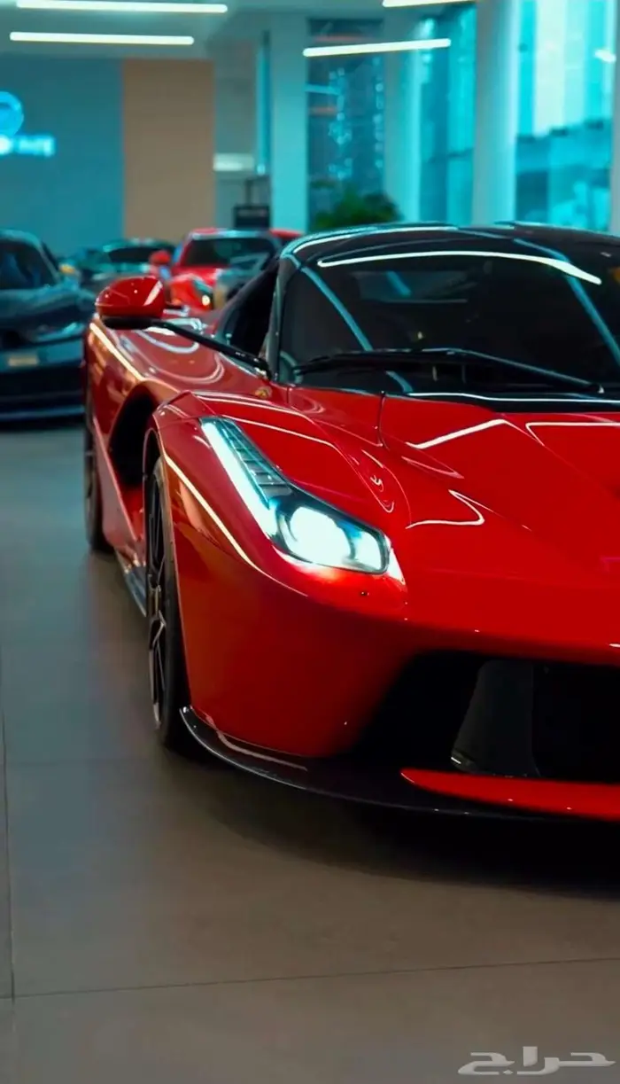 نشنري السيارات الرياضية النادرة 4