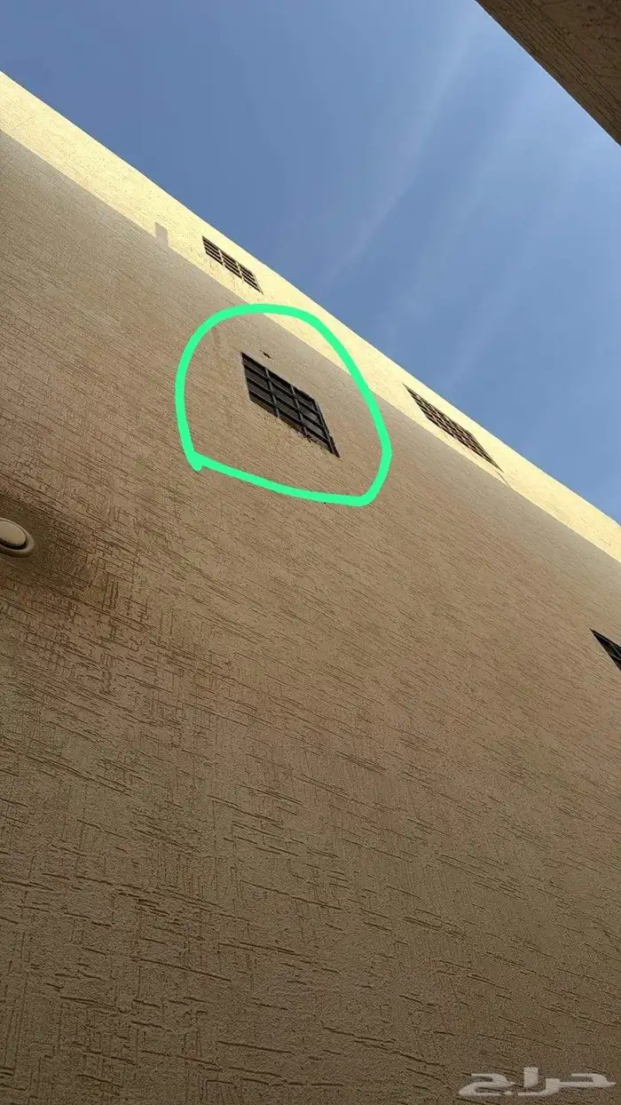 افضل شركة لطرد ومن قطط حمام مع الخصم عند التواصل 1