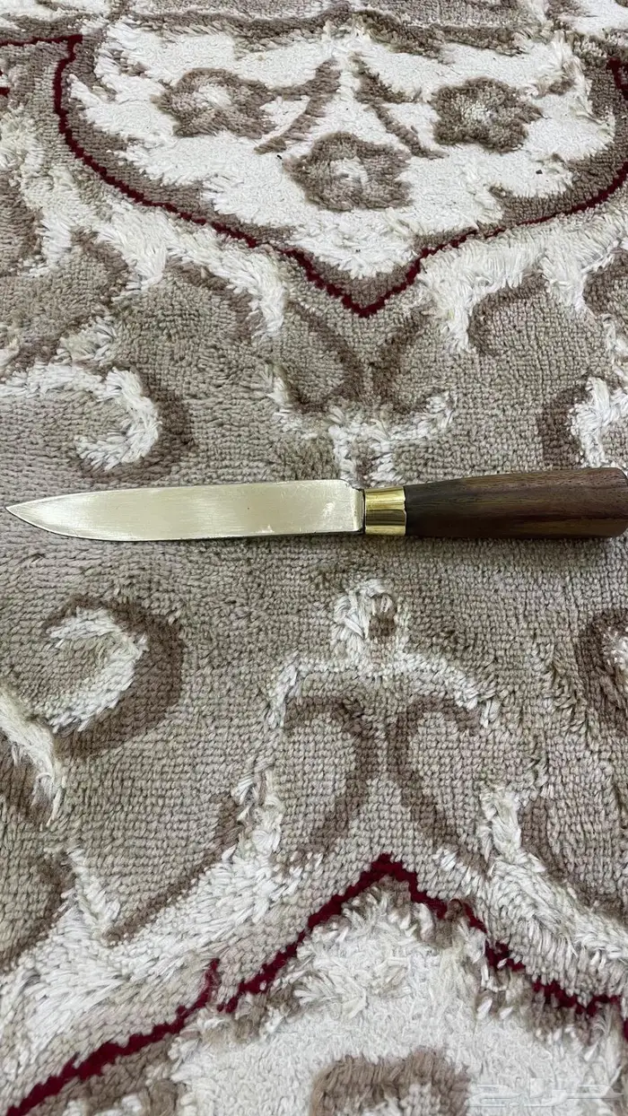 CNNسكين انجليزيه 4