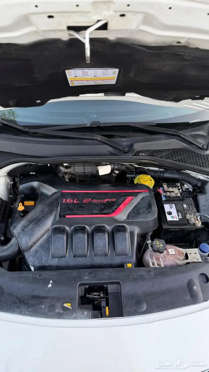 نيون للبيع نظفه 12