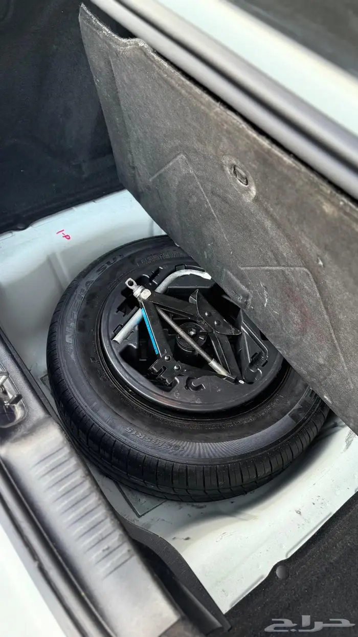 نيون للبيع نظفه 11