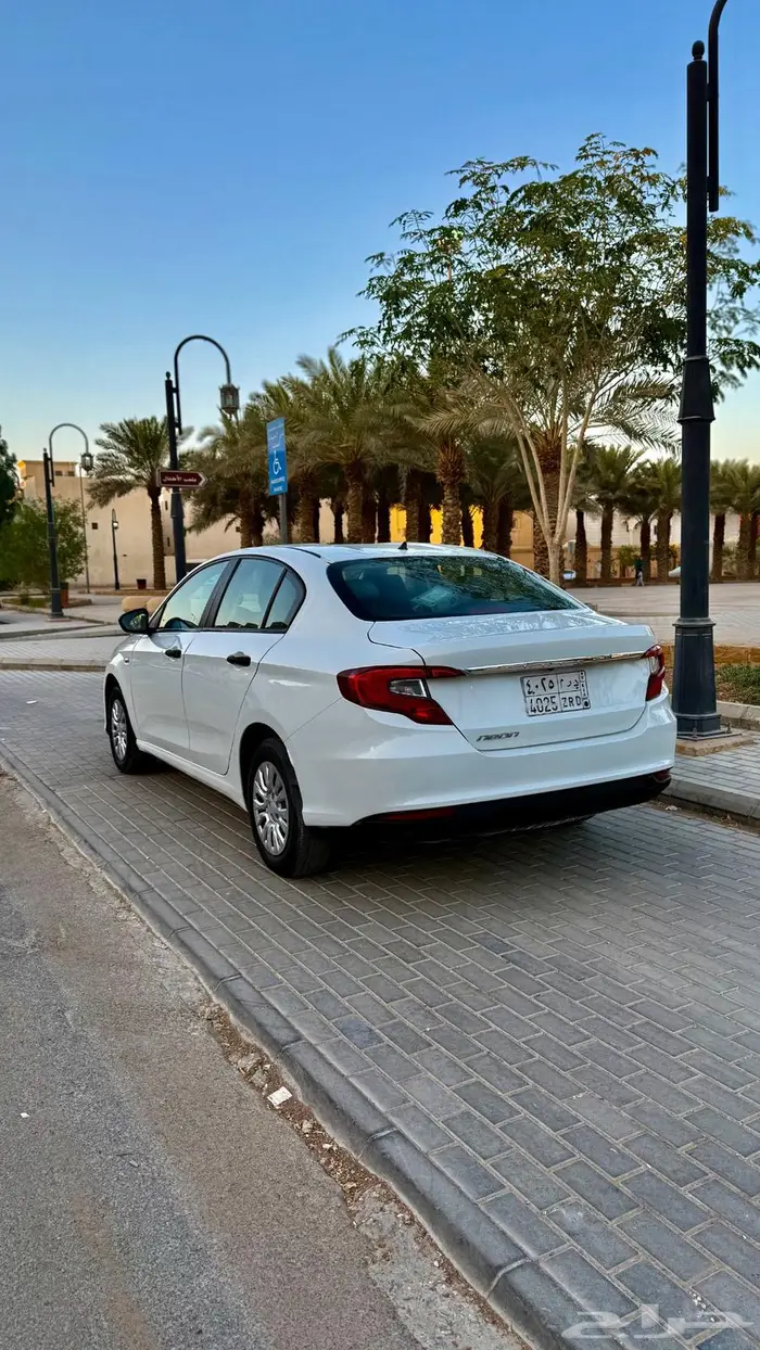 نيون للبيع نظفه 14