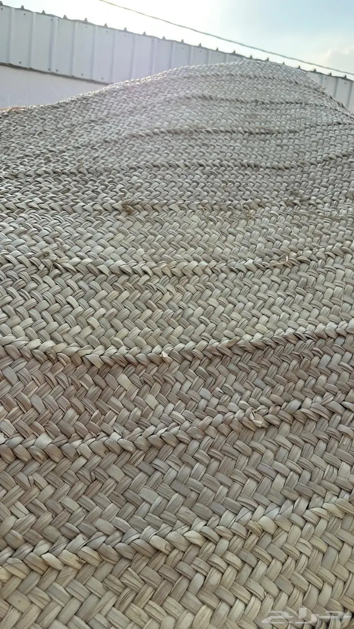 منطقة عسير - محافظة المجاردة - مركز ثربان الطلاليع 22