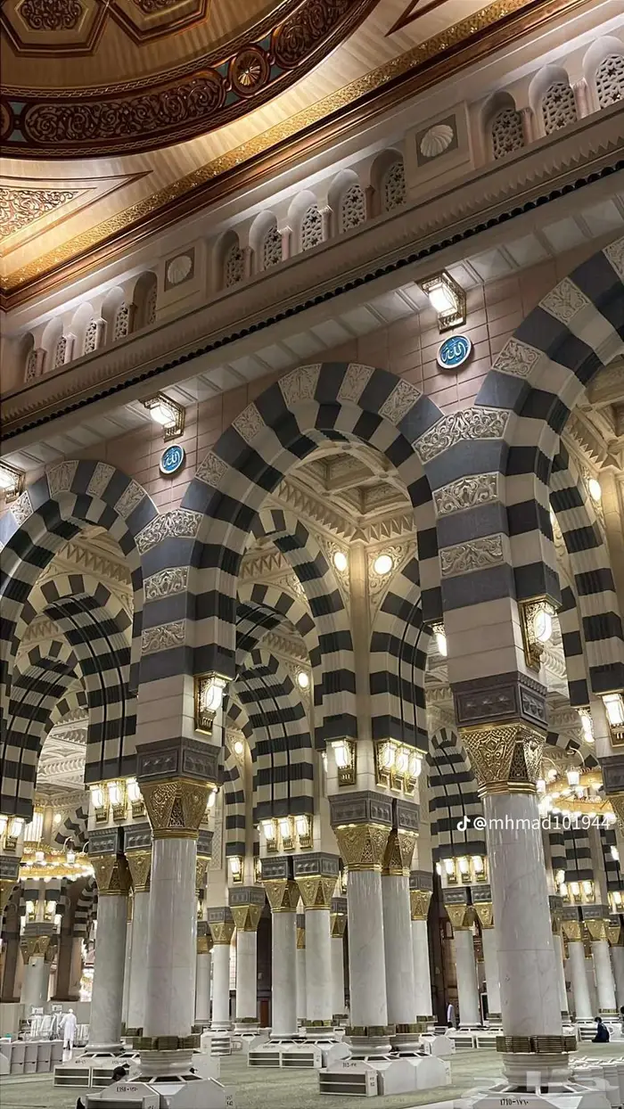 سائق حافلة هايس 0