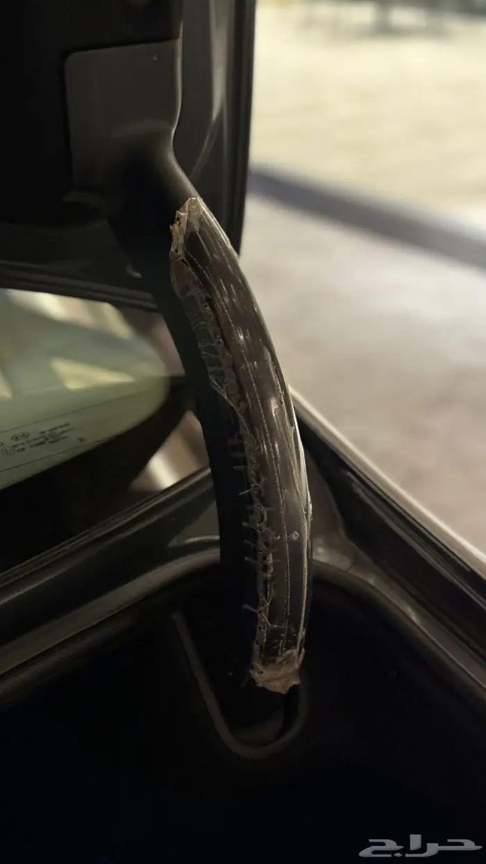 كادينزا 2019 37