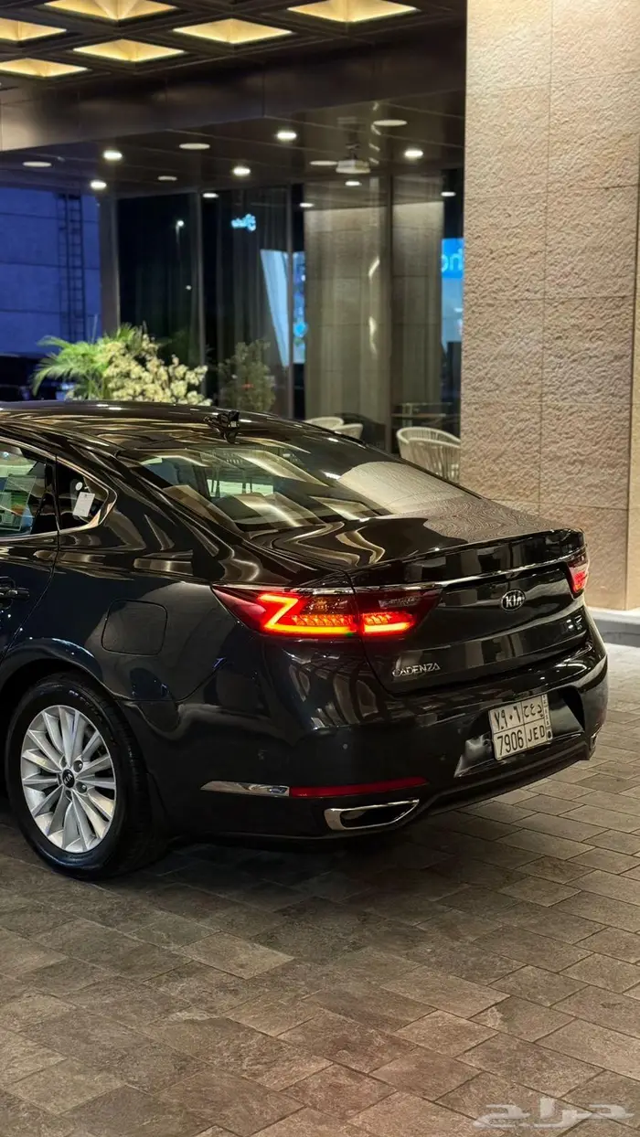 كادينزا 2019 2