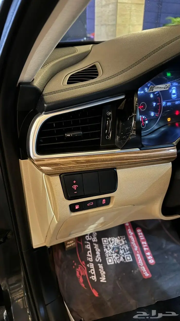 كادينزا 2019 18