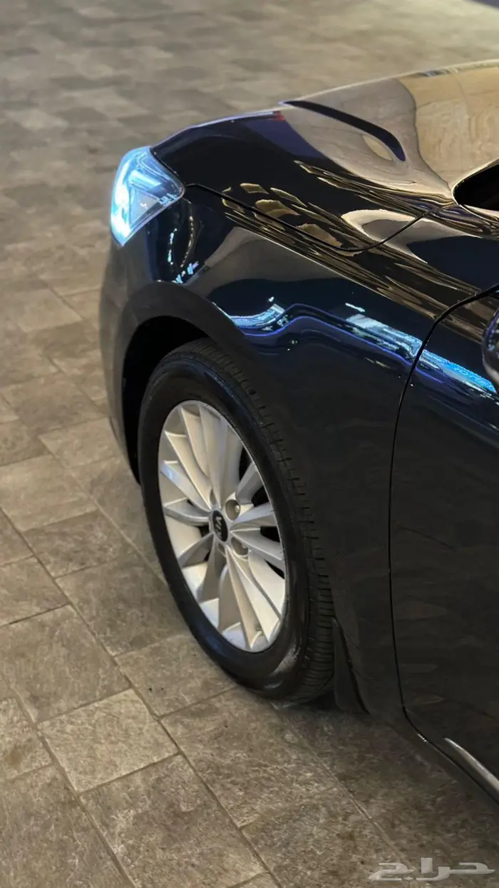 كادينزا 2019 28