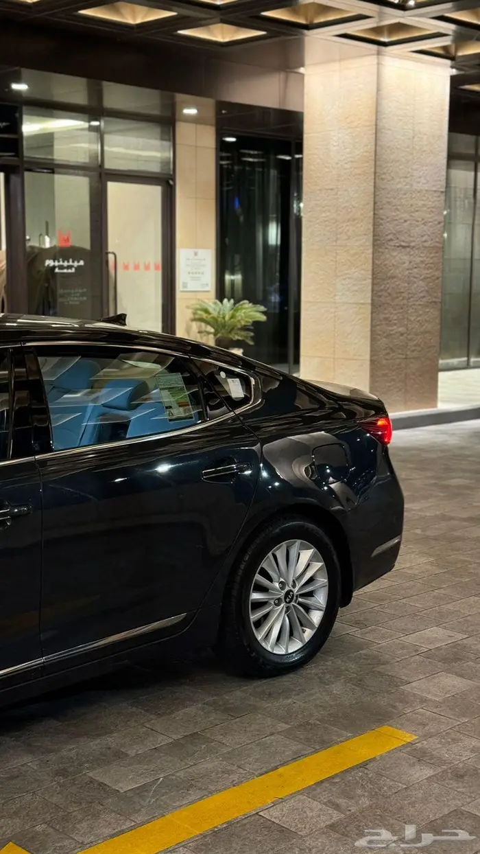 كادينزا 2019 25