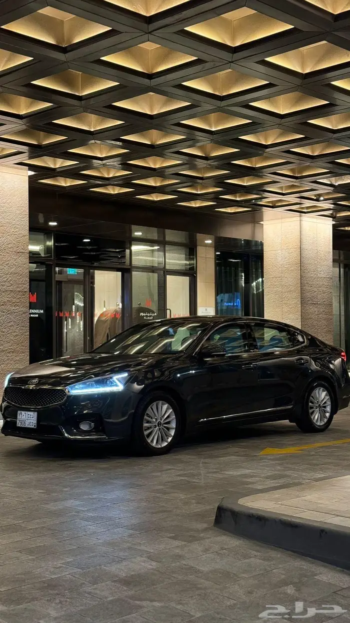 كادينزا 2019 14