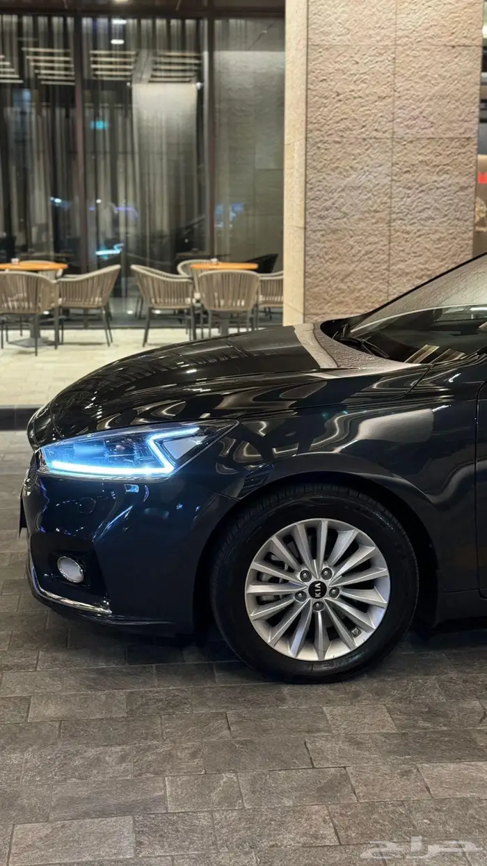 كادينزا 2019 22