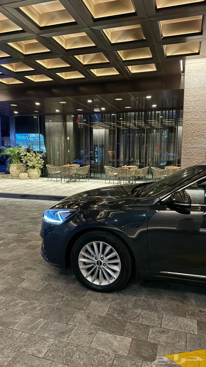 كادينزا 2019 8