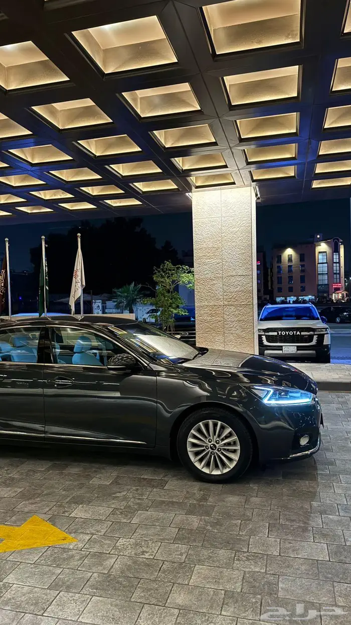 كادينزا 2019 5