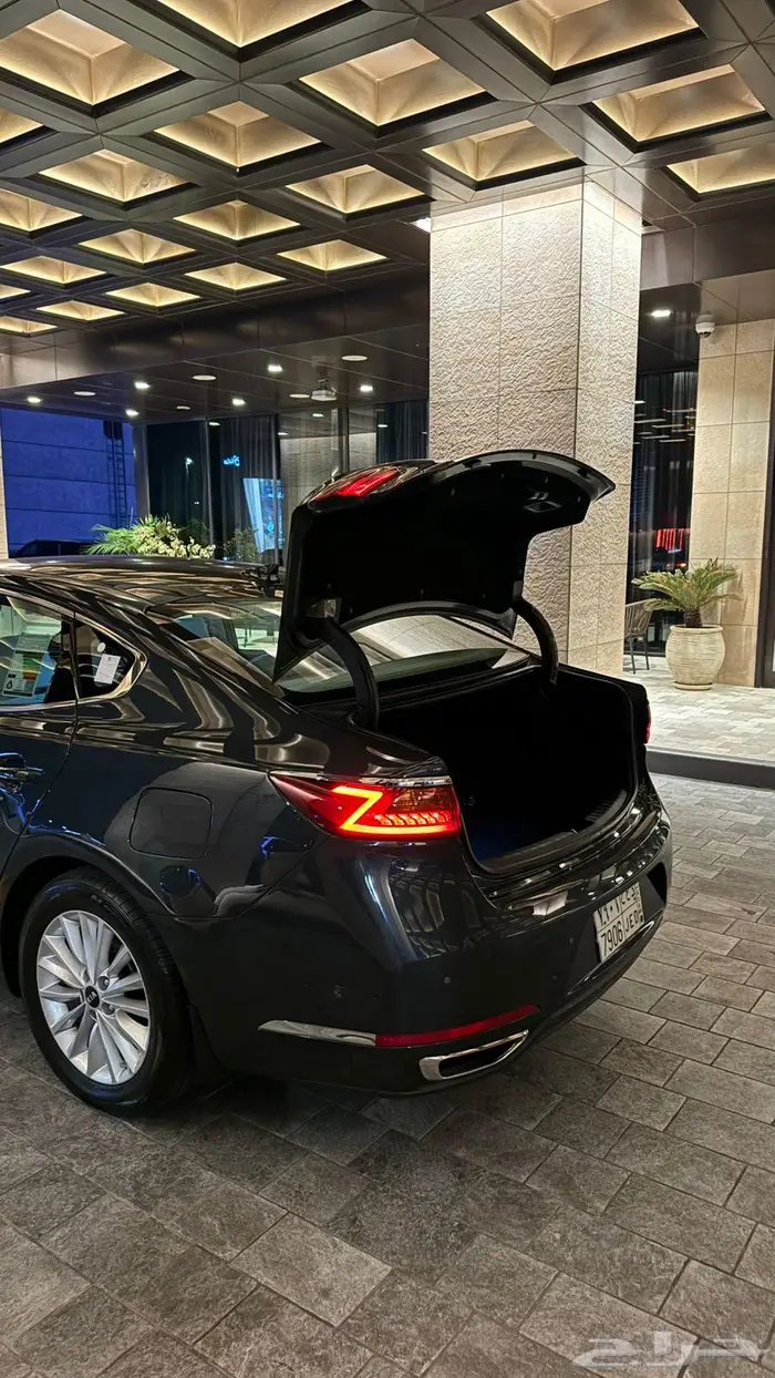 كادينزا 2019 23