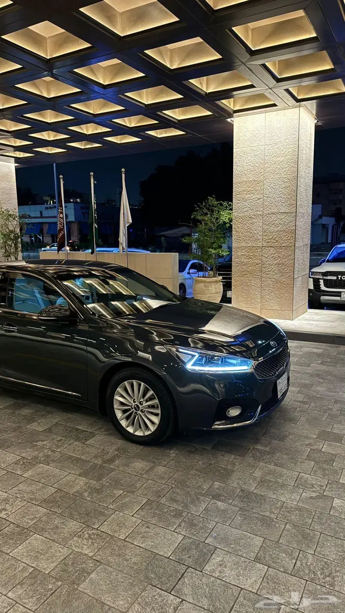 كادينزا 2019 31