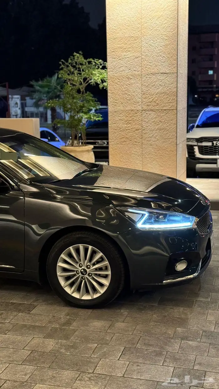 كادينزا 2019 39