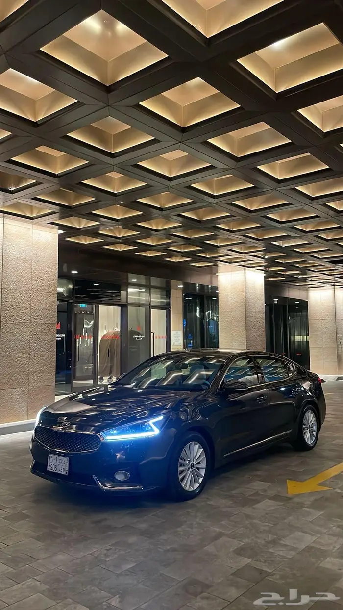 كادينزا 2019 40