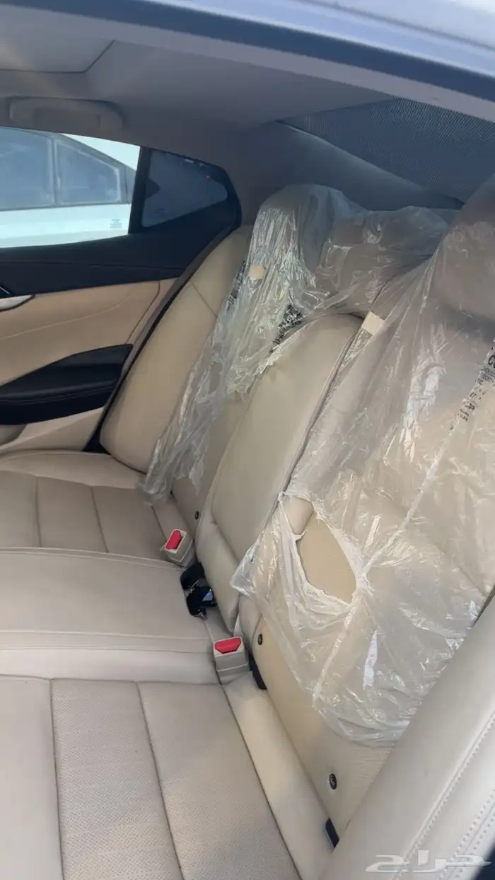 ماكسيما 2022 5