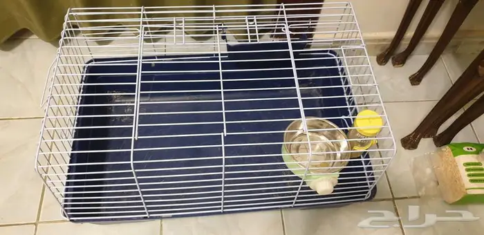 قفص حيوانات (قطط  أرانب  بط  إلخ) 1