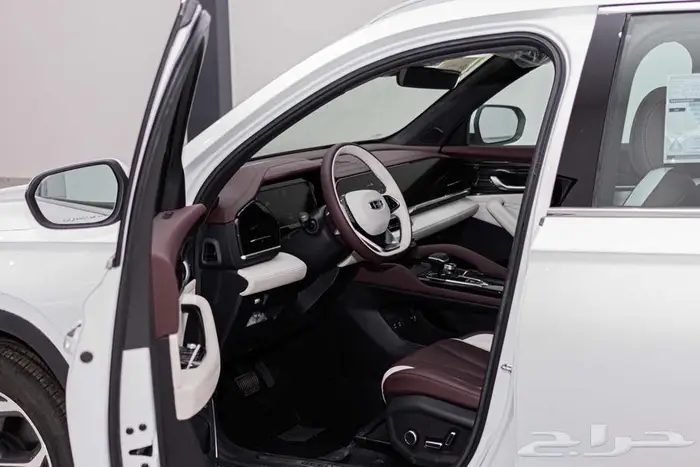 جيلي مونجارو 2024 2.0L تيربو   235 حصان 4