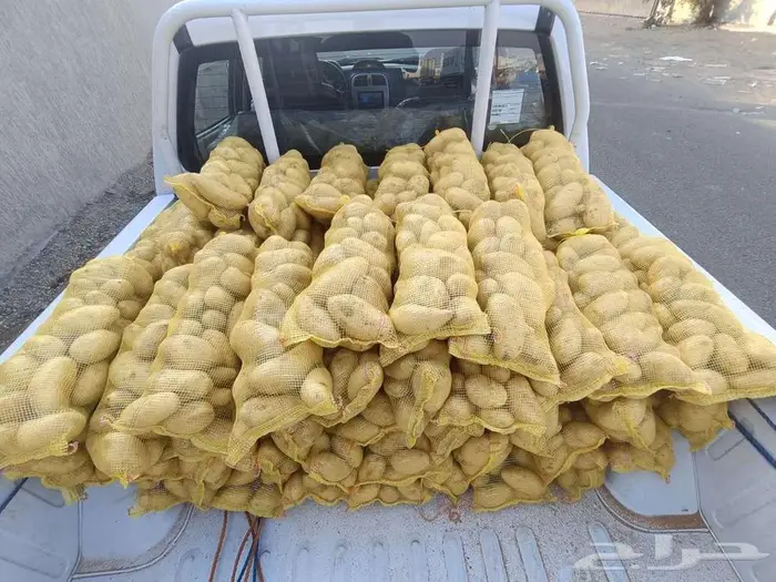 بطاطس حق قلي جده 1