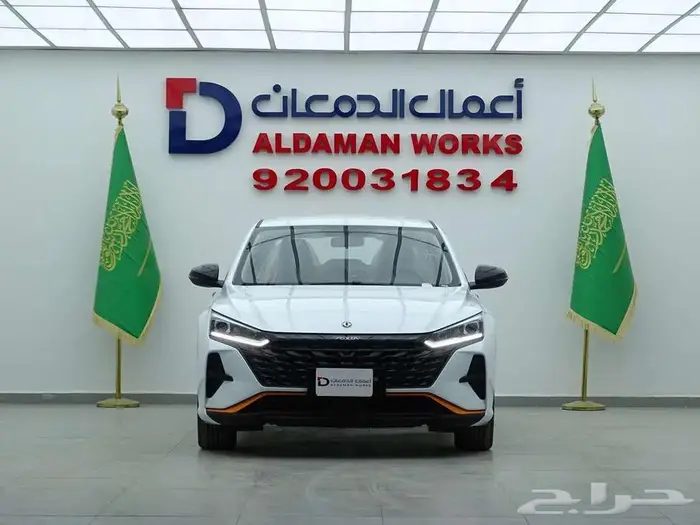 دونج فينج شاين E1 2026 1