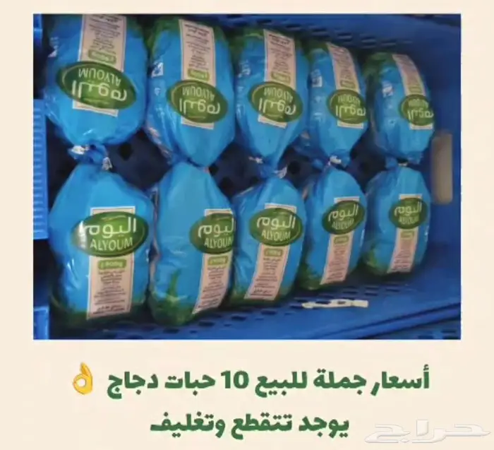 صدور دجاج طازجة كشتة سائد. 3