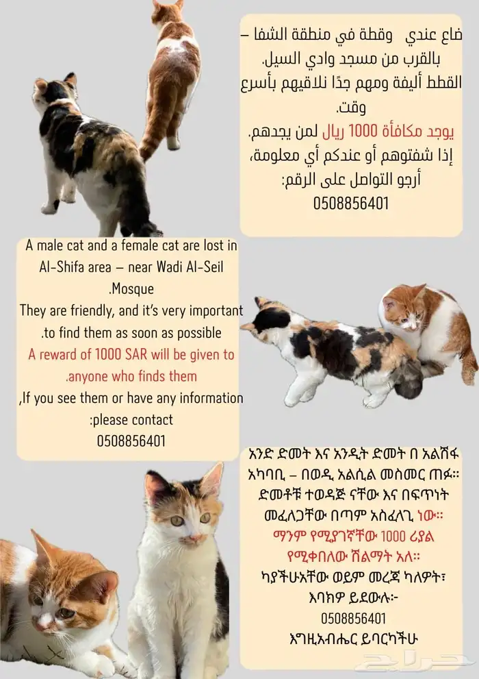 قطين ضائيع بمنطقة الشفا 0